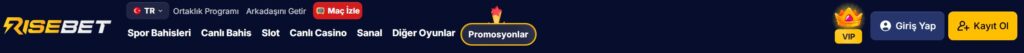 risebet giriş adresi
